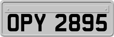 OPY2895