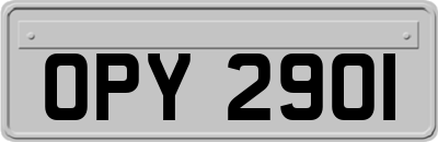 OPY2901