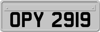 OPY2919
