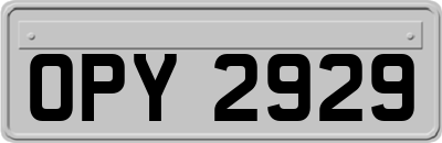 OPY2929