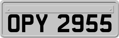 OPY2955
