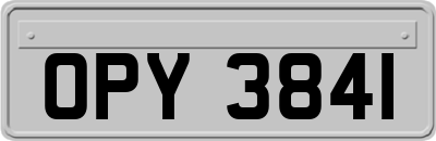 OPY3841
