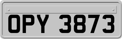 OPY3873