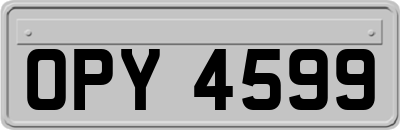 OPY4599