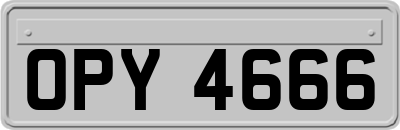 OPY4666