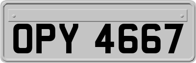 OPY4667