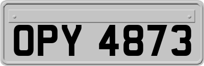 OPY4873
