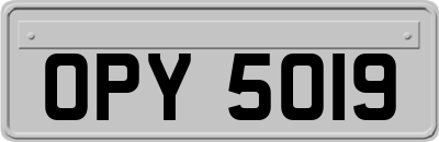 OPY5019