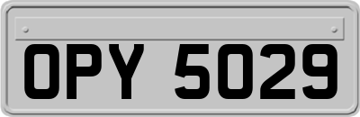OPY5029
