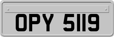 OPY5119