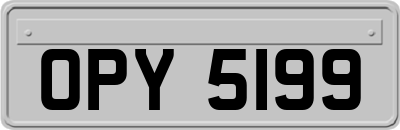 OPY5199