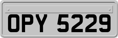 OPY5229