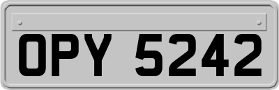 OPY5242