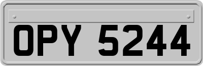 OPY5244