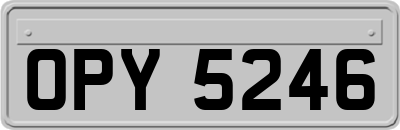 OPY5246