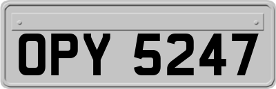 OPY5247