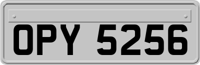OPY5256