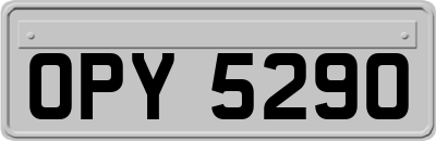 OPY5290