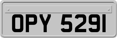 OPY5291