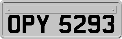 OPY5293
