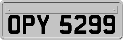 OPY5299