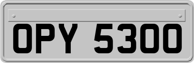 OPY5300