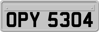 OPY5304