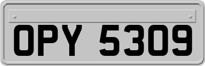 OPY5309