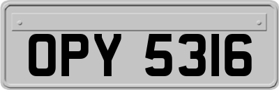OPY5316