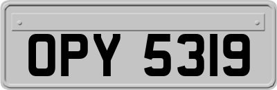 OPY5319