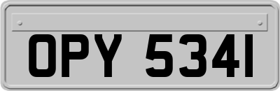 OPY5341