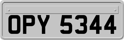 OPY5344
