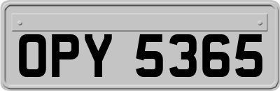 OPY5365