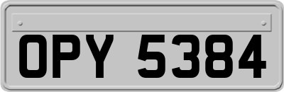 OPY5384