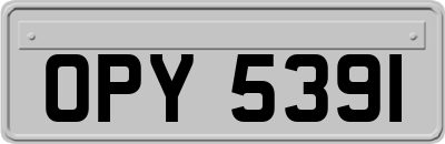 OPY5391