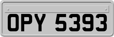OPY5393