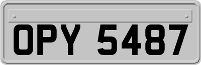 OPY5487