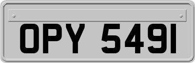 OPY5491