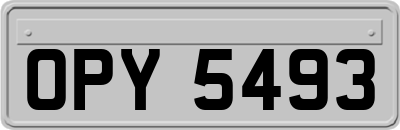 OPY5493