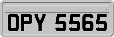 OPY5565