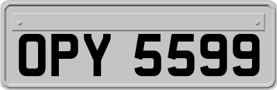OPY5599