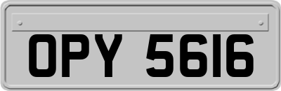 OPY5616