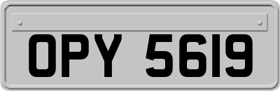 OPY5619