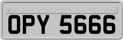 OPY5666