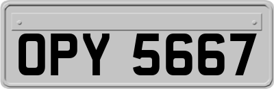 OPY5667
