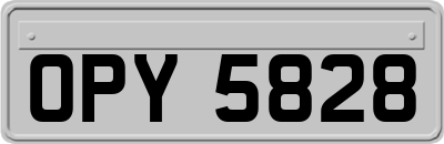 OPY5828