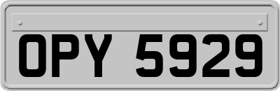 OPY5929