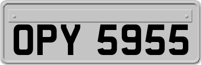 OPY5955