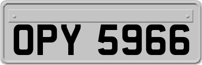 OPY5966