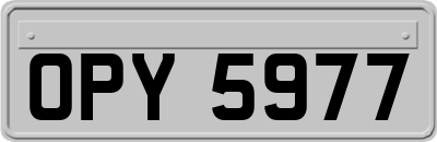 OPY5977